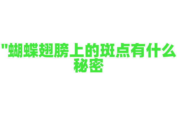 "蝴蝶翅膀上的斑点有什么秘密？"